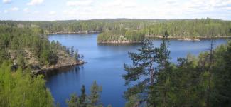 European Forestry Field School