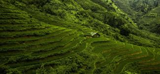 View of terraces carved into the mountains in Vietnam (photo: Ian Slater/Pexels)