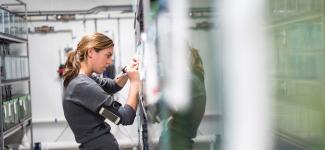 Researcher recording data