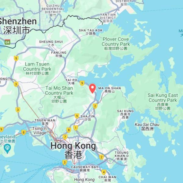 Maps from Google Map