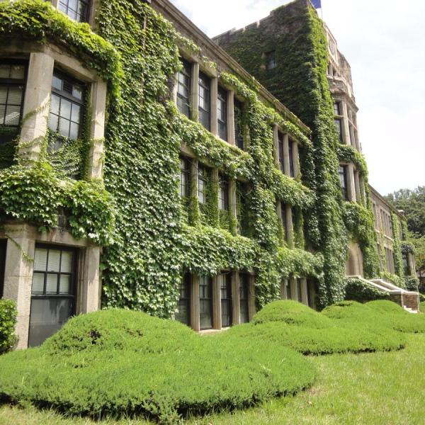 Photo by: 콩가루 CC BY-SA 3.0